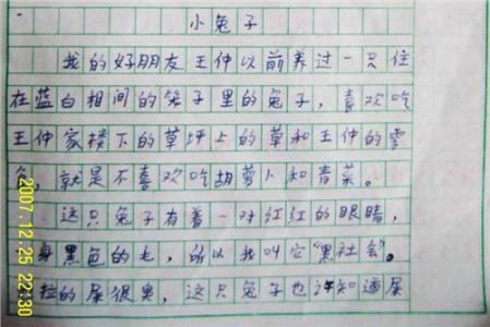 校园安全作文300字 关于安全的作文300字