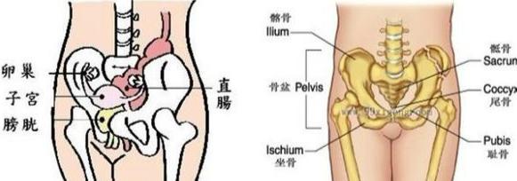 发绀的观察部位有 女性常观察3大部位防百病