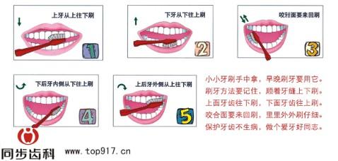 正确的刷牙方法视频 正确的刷牙方法图解