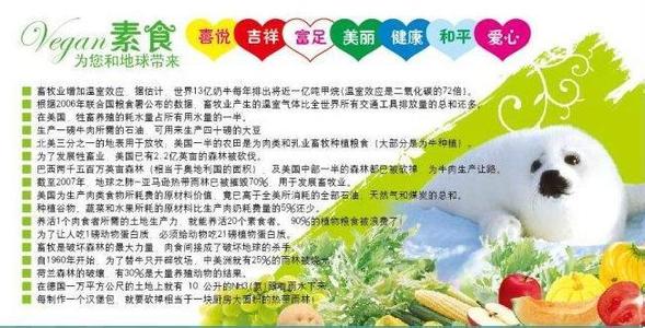 钓鱼休闲的九大益处 素食的九大益处你知道吗