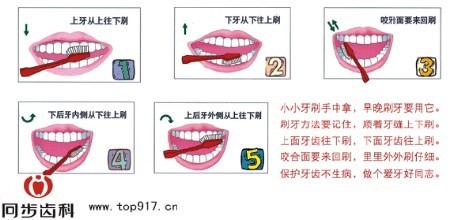 正确刷牙方法视频教程 教你正确的刷牙方法