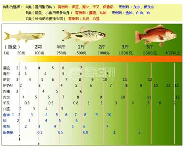 怎样绑鱼钩图解 怎样去挑选一个好的鱼钩？