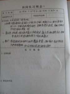 税务局实习周记