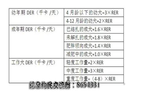 狗粮卡路里计算 狗粮份量可以按卡路里计算