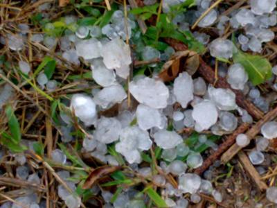 冰雹分类 冰雹的分类