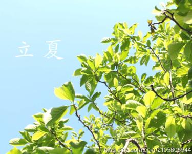 立夏节气 立夏节气种什么菜(2)