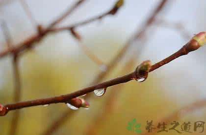 雨水节气天气特点