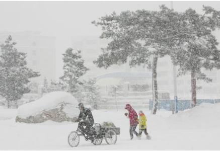 2015临沂大雪 2015年大雪具体时间