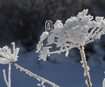 2017最新三八节祝福语 2015年最新霜降祝福语