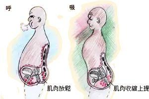 男性提肛的正确方法 提肛运动的正确做法