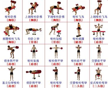 初学哑铃锻炼方法视频 哑铃锻炼方法