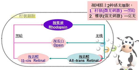 皮肤干燥缺什么维生素 维生素A的作用