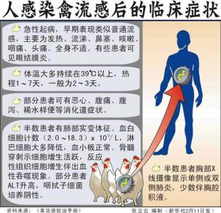 禽流感最新消息2017 禽流感症状