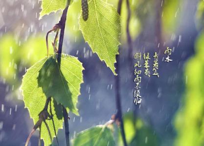 谷雨和雨水 谷雨和雨水的区别