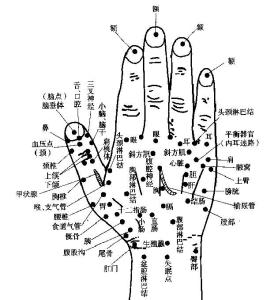 经络全息手诊 全息经络手诊法