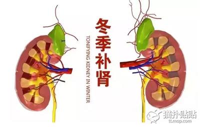 补肾养肾的方法 补肾养肾最有效的十个方法