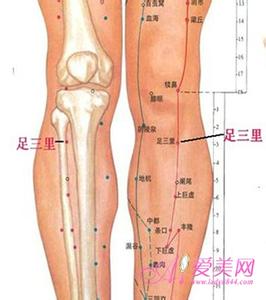 养生穴位按摩 女人按摩补血 必记十大补血养生穴位