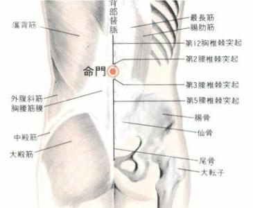 提高性功能按摩方法 穴位按摩提高性功能