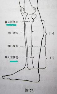 助消化的穴位 吃撑了按哪个穴位可以助消化