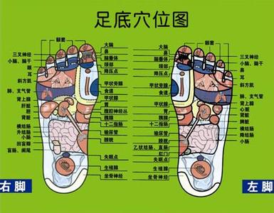 穴位补肾 宝按摩艾灸 3大穴位按摩助补肾