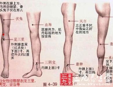 足三里穴位的作用 冬季按摩足三里穴位缓解手脚冰冷症状