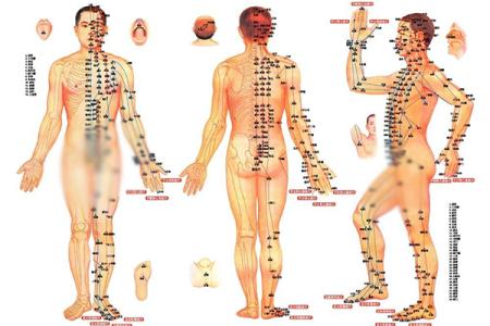 穴位补肾 宝按摩艾灸 勤按摩人体穴位可强身补肾