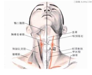 双下巴穴位 防治双下巴穴位怎样调理