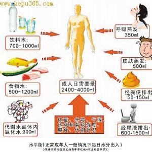 青少年营养食谱 青少年怎样合理营养