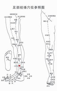 补肾去湿健脾汤 常揉三阴交健脾补肾