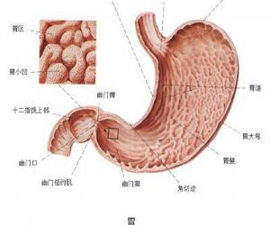胃炎症状和表现 胃炎的早期症状是什么
