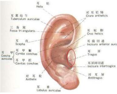耳朵胀痛是怎么回事 耳胀怎么回事