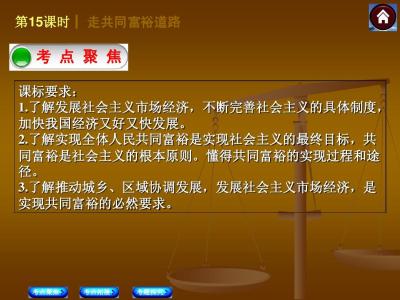 中考政治走共同富裕的道路专题复习