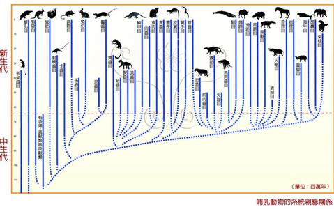 哺乳动物起源 哺乳动物的起源是什么