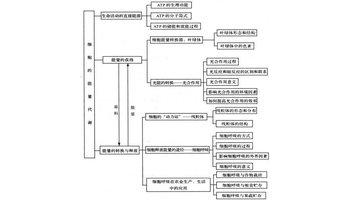 生物选修三必背知识点 生物选修三知识点归纳