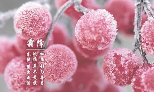 霜降节气 霜降节气各地饮食有什么推荐