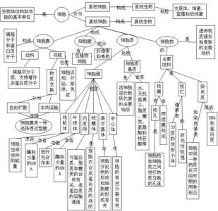 细胞生物学知识点 高考生物组成组成细胞的物质基础知识点