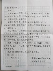 手拉手活动作文500字 手拉手活动的作文500字