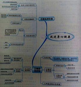 高中化学实验教学总结 高中化学教师教学工作总结