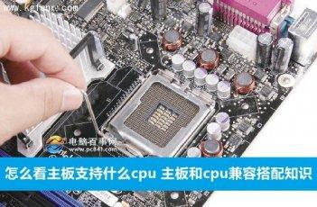 怎么看cpu和主板兼容 cpu与主板怎么兼容