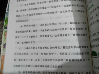 精美散文摘抄 关于精美散文摘抄600字