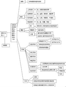 高二生物知识点 高二生物神经系统调节知识点总结