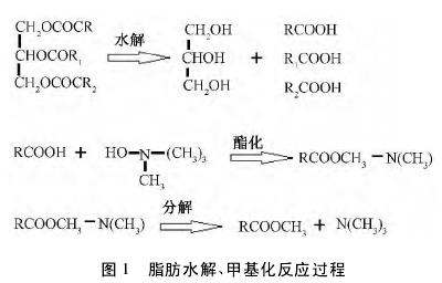 科学探究的基本过程 刑事科学技术基本原理探究论文