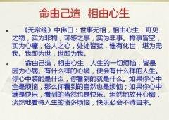 生活感悟文章 经典生活感悟文章