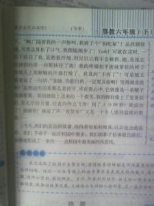 我收获了友谊300字 我收获了友谊300字文章_我收获了友谊300字短文