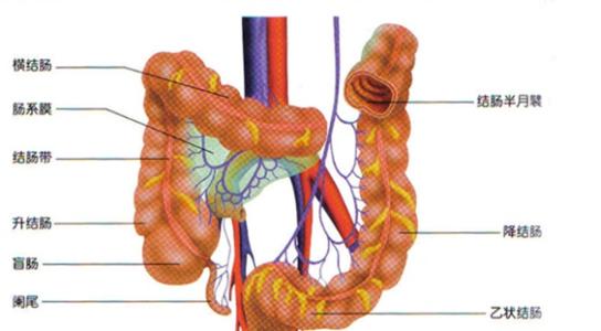 结肠炎治疗最佳方法 结肠炎要怎么治疗 急性结肠炎的治疗方法