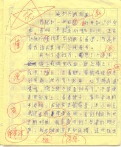 我和书的故事作文400 小学五年级作文我和书的故事