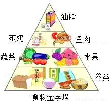 蛋白质在生活中的应用 高二化学教学视频：糖类 油脂 蛋白质在生产生活中的应用