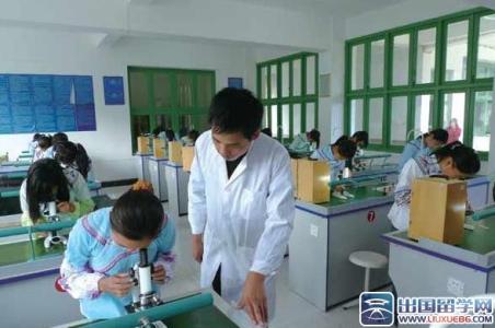 初中生物教师工作总结 初中生物学教师工作总结