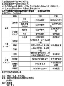 地理必修2知识点梳理 高一生物必修一第三章知识点梳理