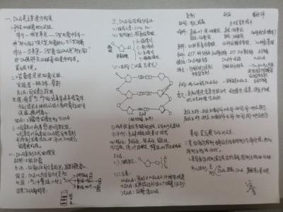 高二生物必修二遗传学 2017年高二生物必修2《遗传的分子基础》测试试题